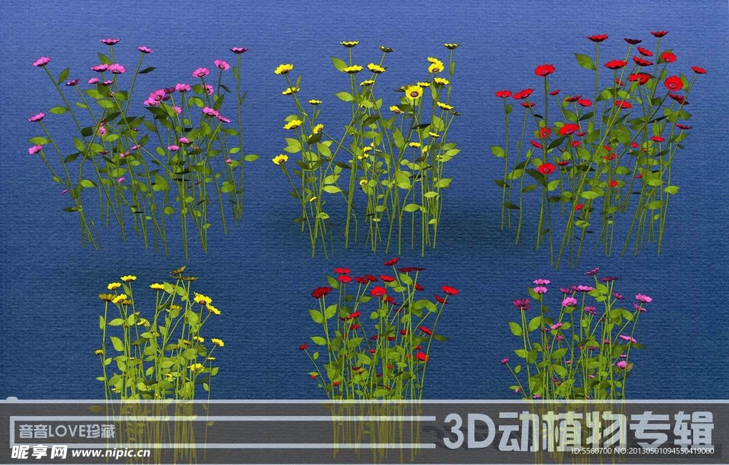 高清3D花卉