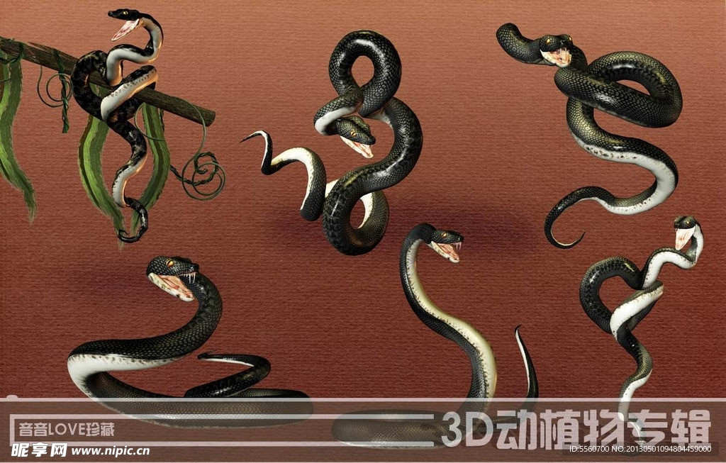 蛇素材