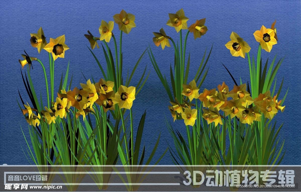 高清3D水仙