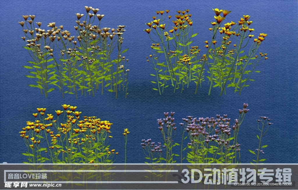 高清3D花卉