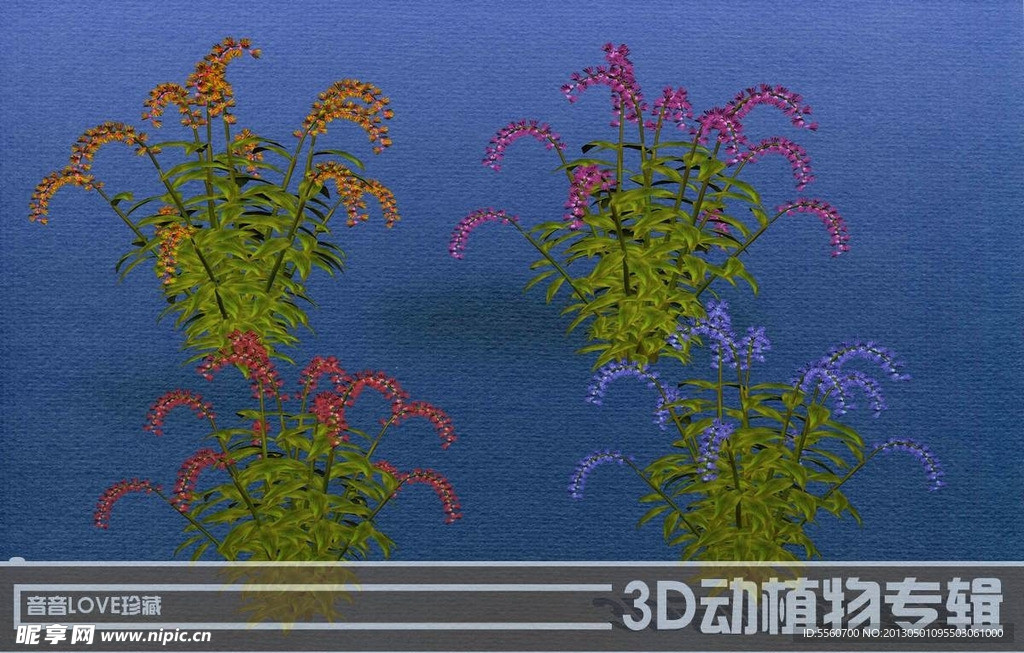 高清3D花卉