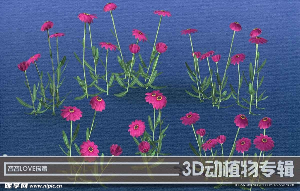 高清3D花卉