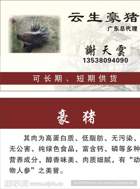豪猪名片