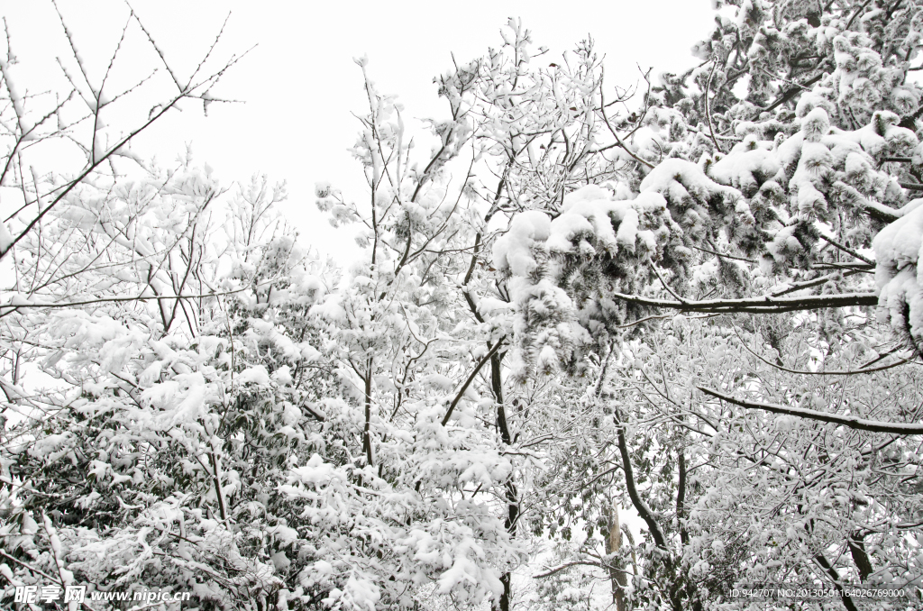 雪景