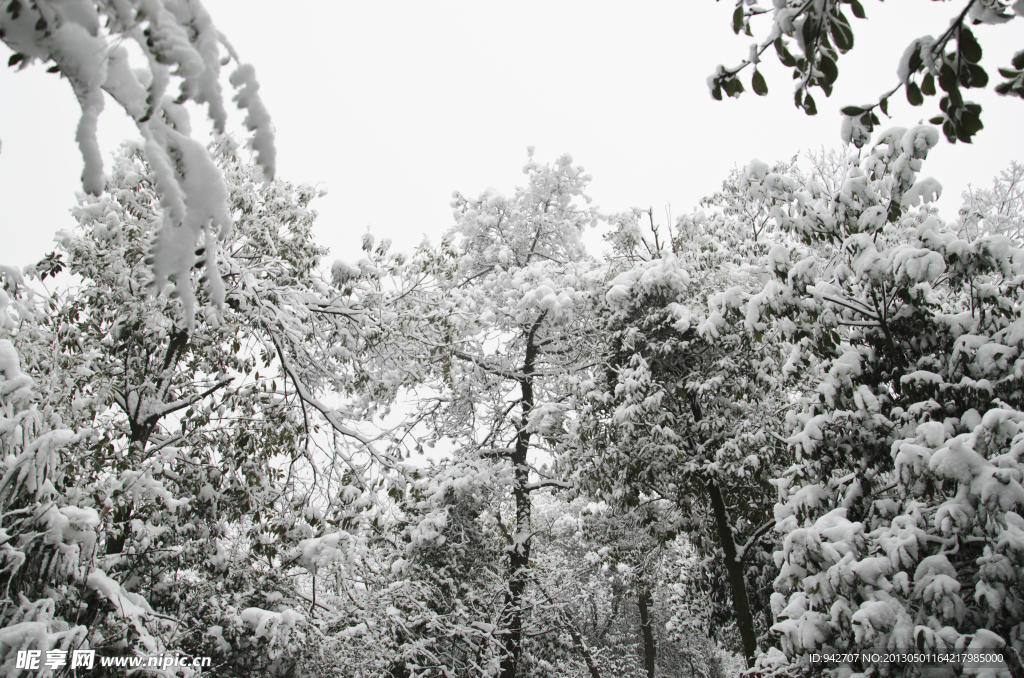 雪景