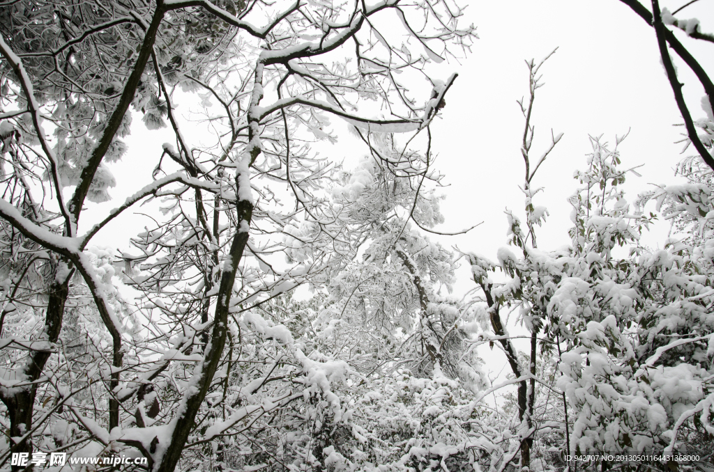 雪景