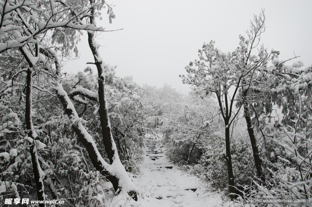 雪景