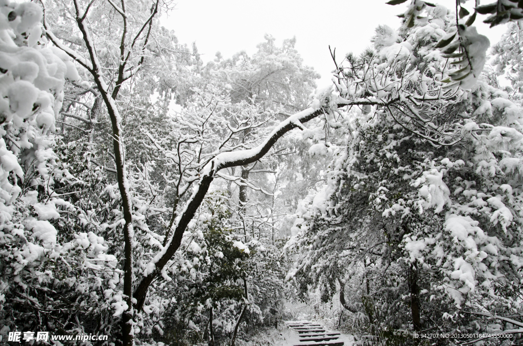 雪景