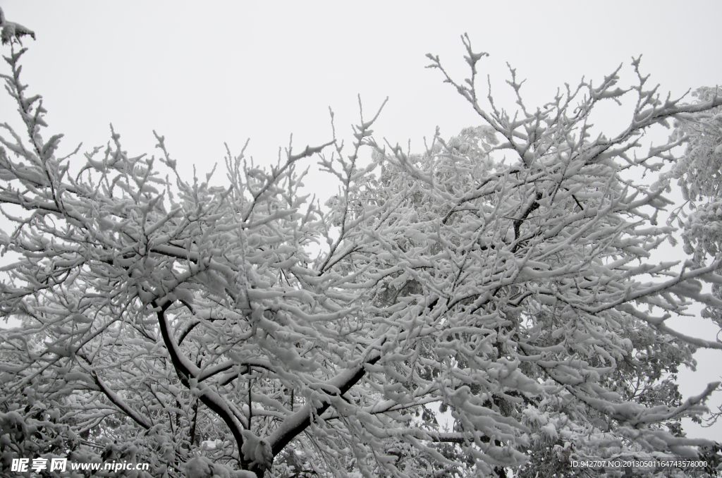 雪景