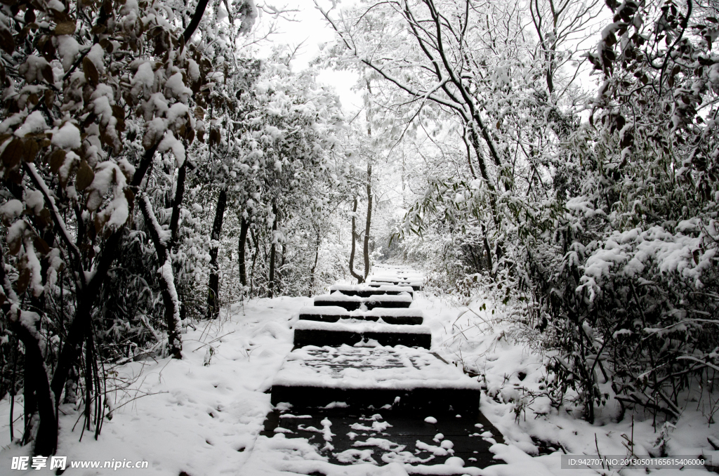 雪景