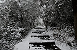 雪景