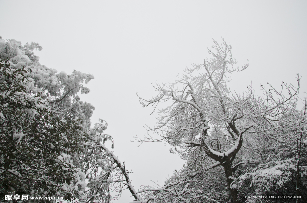 雪景