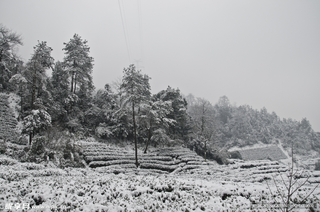 雪景