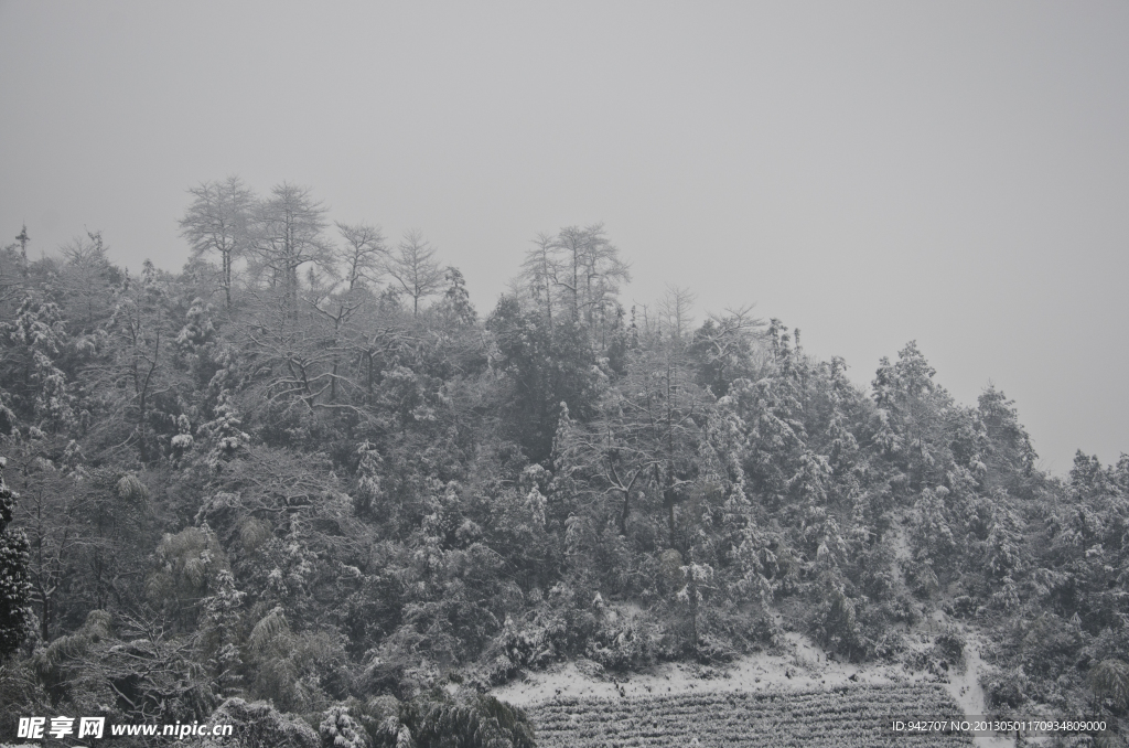 雪景