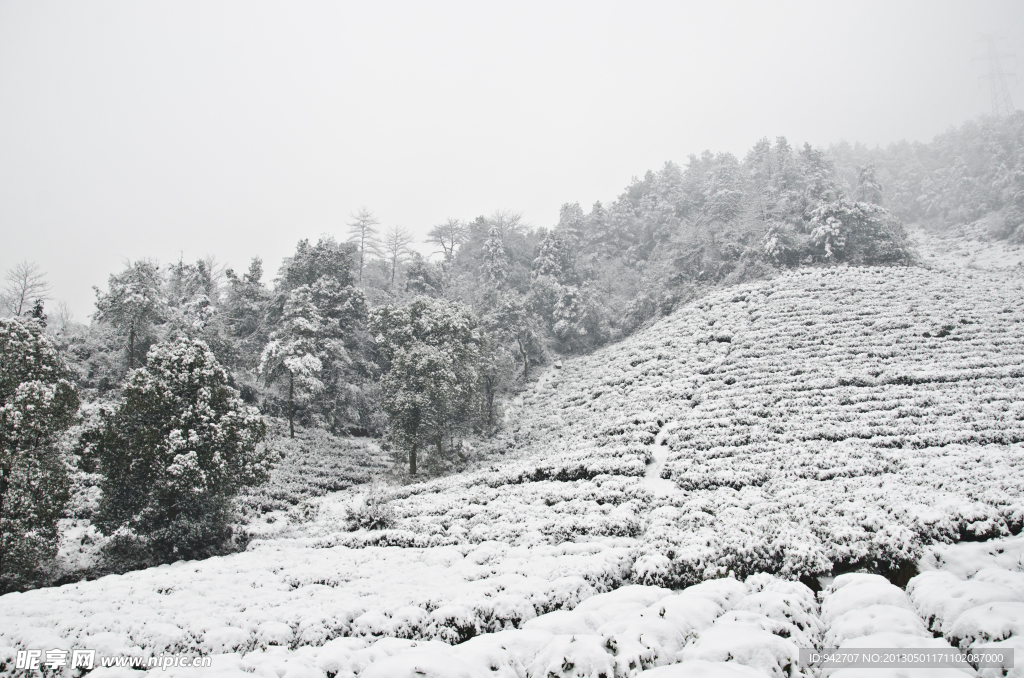 雪景