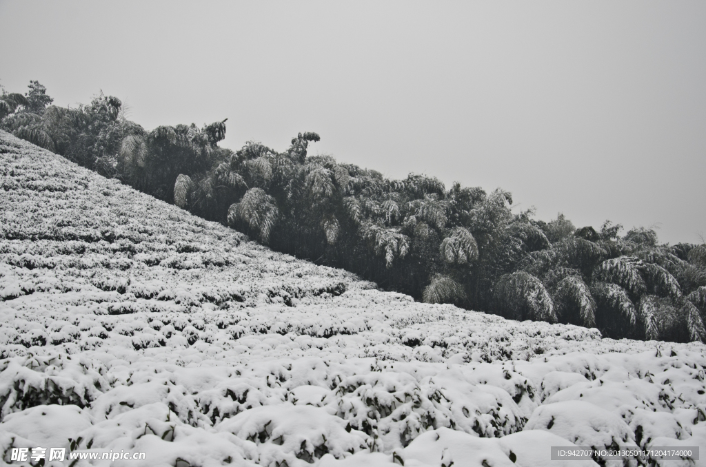 雪景