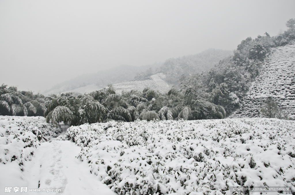 雪景