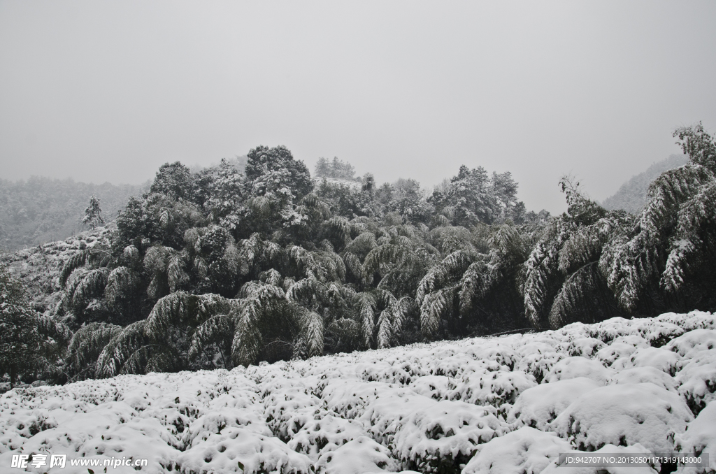 雪景