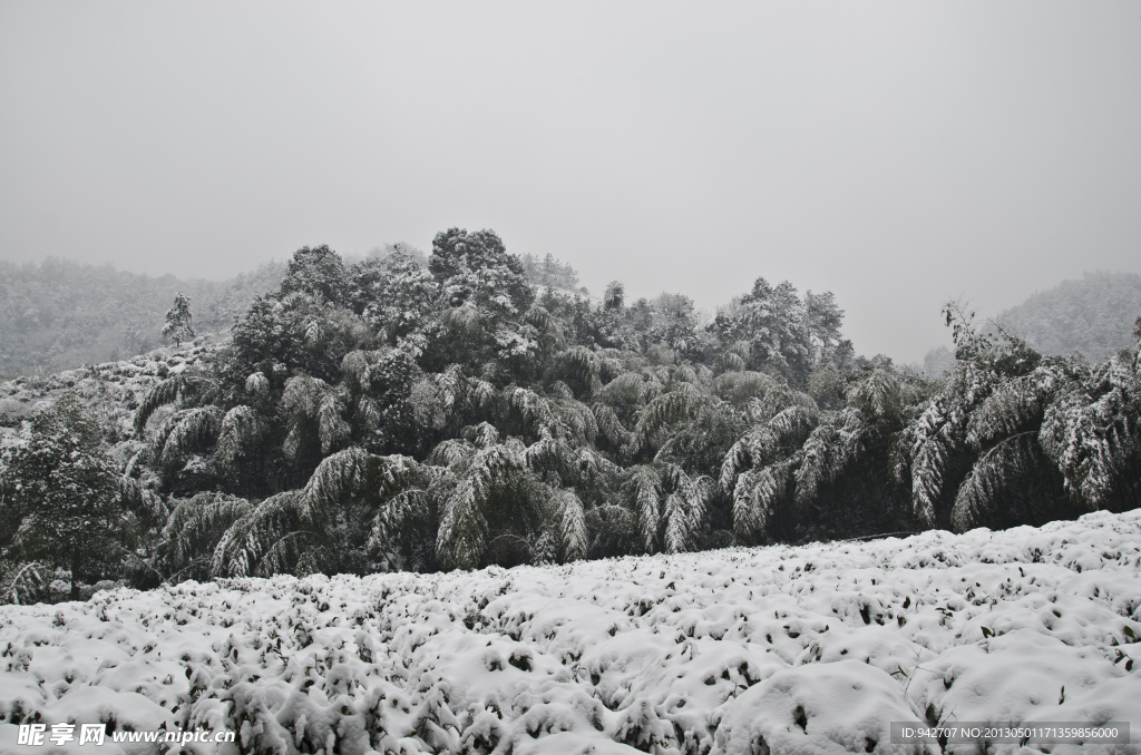雪景