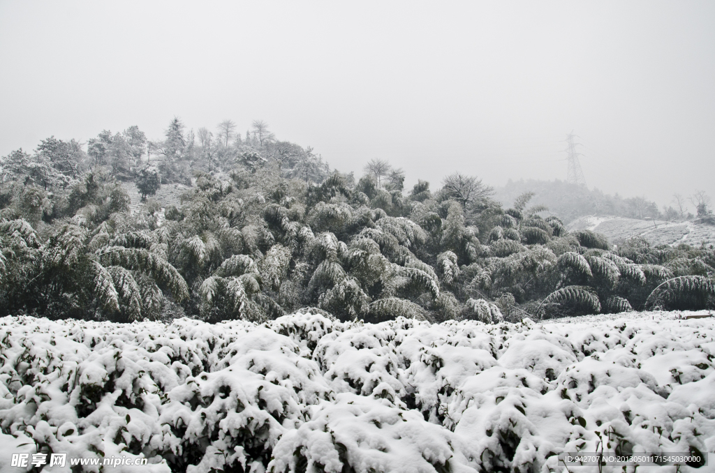 雪景