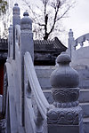 庭院