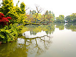 西湖风景