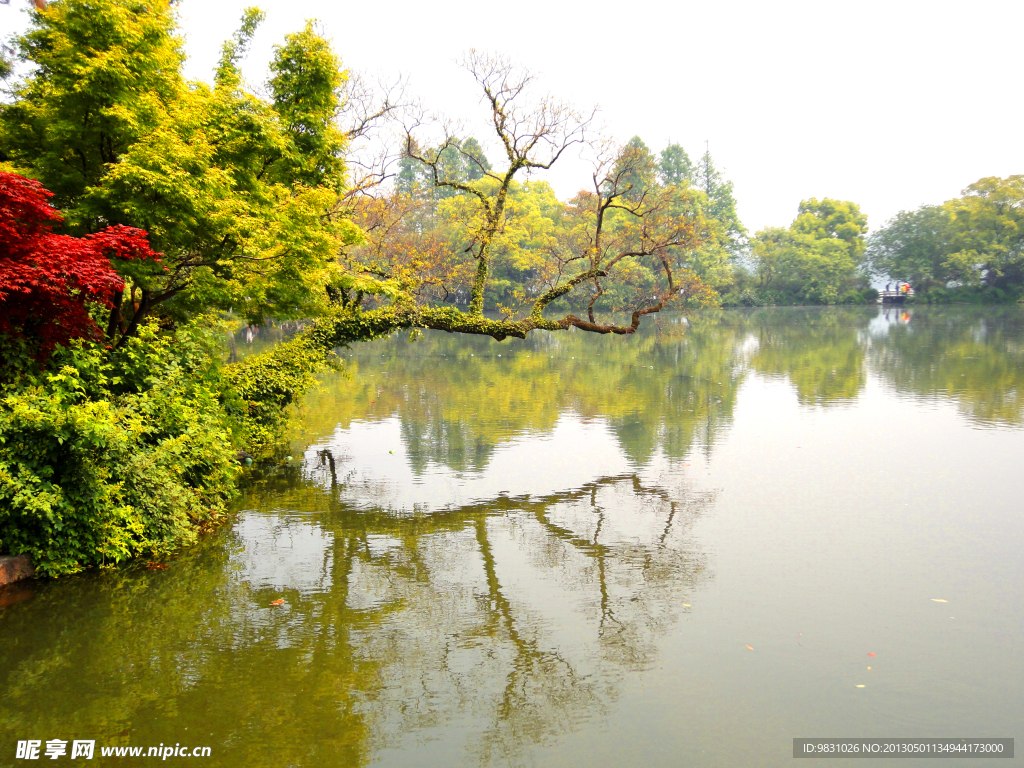 西湖风景