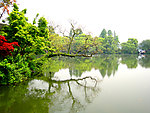 西湖风景