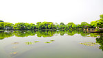 西湖风景