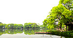 西湖风景