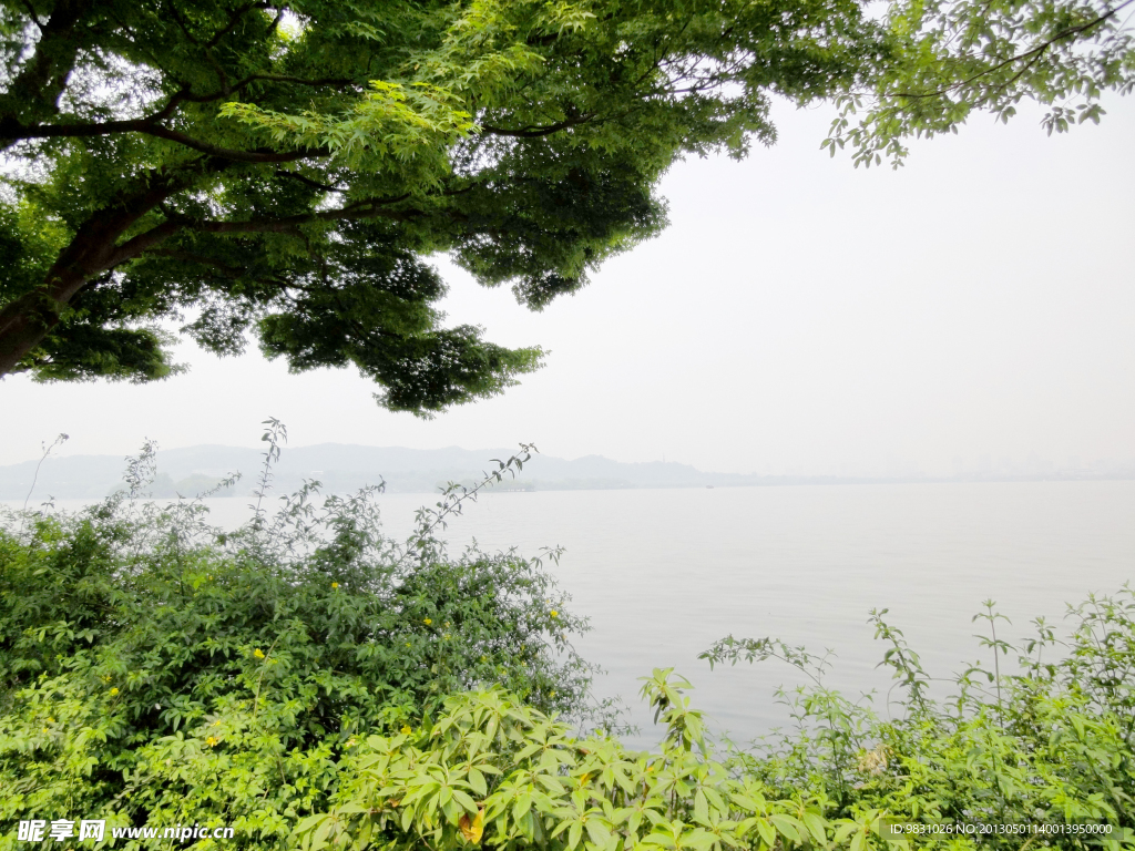 西湖风景