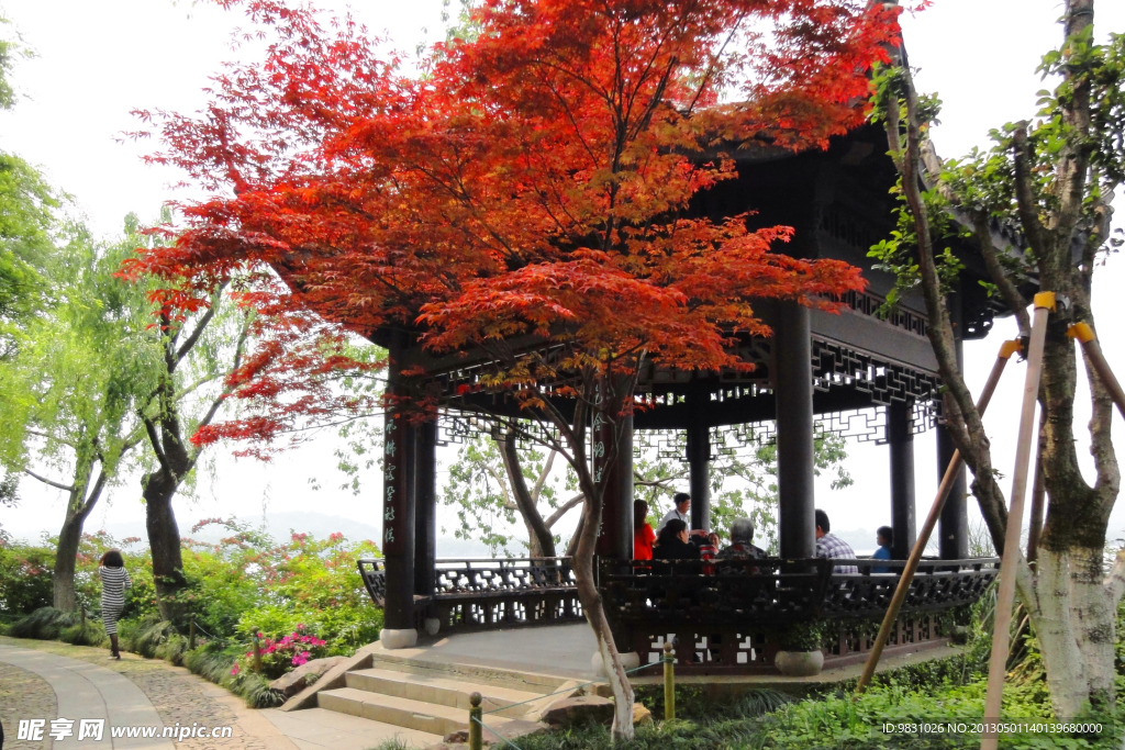 西湖风景