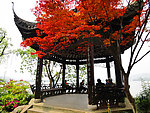 西湖风景
