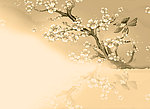 梅花背景