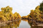 风景画 自然风景