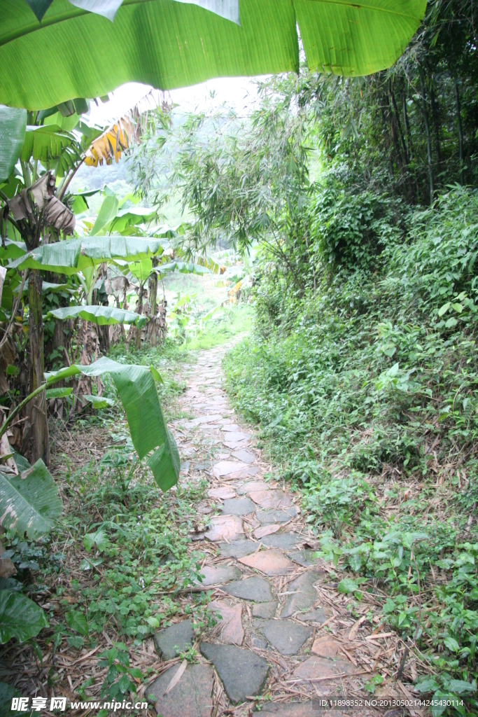 上山的石板路