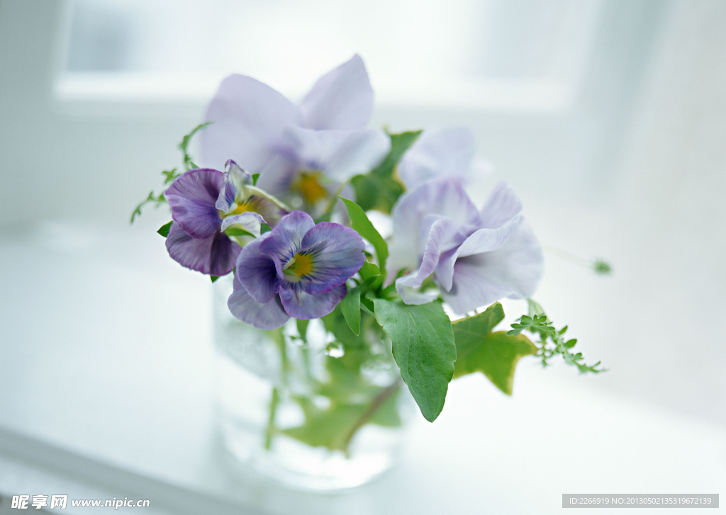 花卉艺术