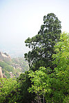 嵖岈山