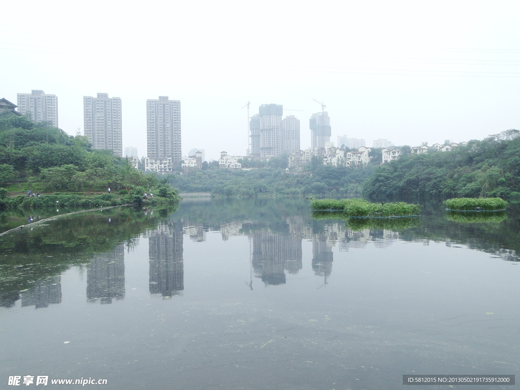 湿地公园