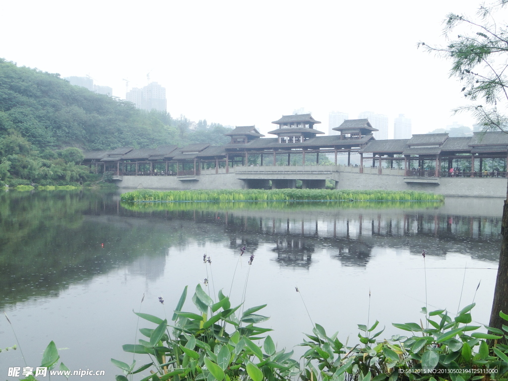 湿地公园