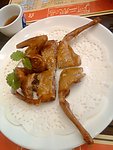 乳鸽