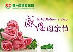 感恩母亲节