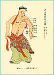 太阴肺经络图