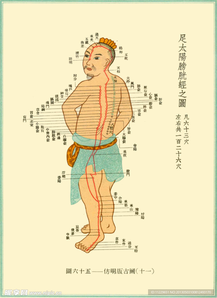 足太阳膀胱经络图