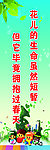 爱护花草