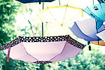 伞 雨伞