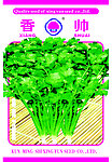 香菜包装袋