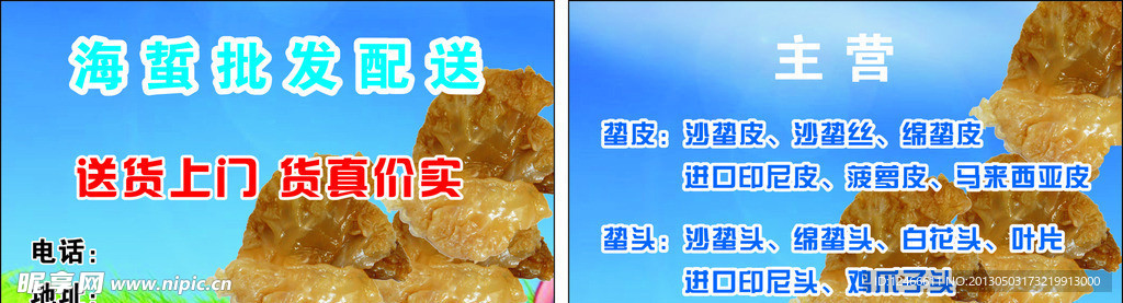 海蜇