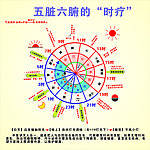 中医时疗 五脏六腑