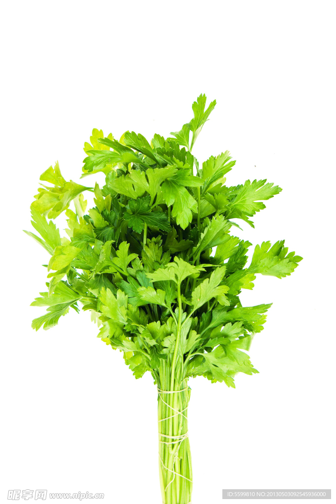 芹菜